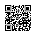09494-00711-000 Жиклер игольчатый