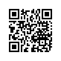 09494-00721-000 Жиклер игольчатый