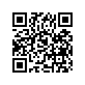 09494-00728-000 Жиклер игольчатый