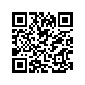 09494-00746-000 Жиклер игольчатый