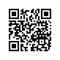 09494-00752-000 Жиклер игольчатый