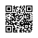 09494-00766-000 Жиклер игольчатый