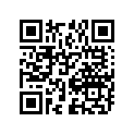 09494-00855-000 Жиклер игольчатый