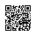 09494-00897-000 Жиклер игольчатый