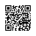 09494-00908-000 Жиклер игольчатый