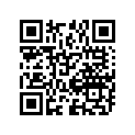 09494-00926-000 Жиклер игольчатый