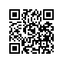 09494-00928-000 Жиклер игольчатый