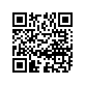 09691-45001-000 Ботинок
