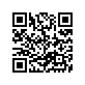 09811-00272 BAG,TOOL