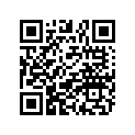 1011904-067 MT.,R.SHOCK,BLK.