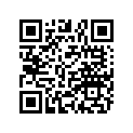 1013247-067 BRKT,PARK LOCK,BLK