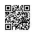 1017764-458 ASM-FOOTREST RH,MBLK