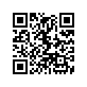 1019377-737 ASM-TUNNEL 163 SVC ISBLU