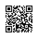 102-25381-02-00 