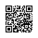 1024146-1142 ASM-TUNNEL 137 PROG NAT/BLK