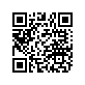 1040723-067 SUBSTITUTED BY 9999999