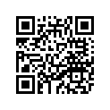 10W-17411-00-00 