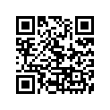 110-13124-00-00 