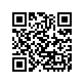 110041041 Gasket-head, T=0.5