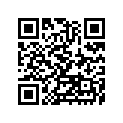 11009-2487 ガスケツト，エキゾ-スト パイプ
