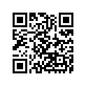 11055-0868 ブラケット，レギユレータ，UPP