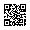 110571448 BRACKET,STAY CONNECT