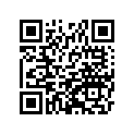 11061-0748 GASKET