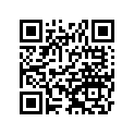 11061-S091 GASKET