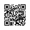 11061-S092 GASKET