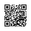 110610865 GASKET