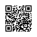 110611288 GASKET
