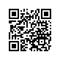 11061S019 Gasket