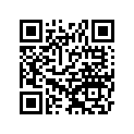 11061S094 Gasket