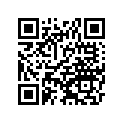 11061Y064 GASKET