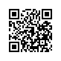 11065-0751 CAP