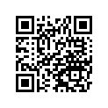 11065-S029 CAP,HOUSING SEAL