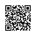 11065094739B 