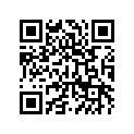 11065129311G CAP,GRAY