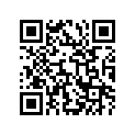 11100-13G20-000 