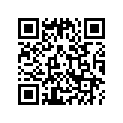 11104-K04-930 Bush, L. Eng Hgr