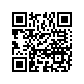 11111-28703 
