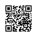 11111-41631 