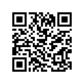 11116-45722-000 Направляющая выпускного клапана