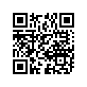11173-11401-000 Gasket