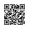 11173-49021 GASKET