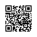 11173-49206-000 Gasket
