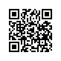 11175-01400-000 Cap, inspection