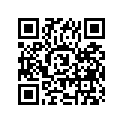 11251-30500-000 Rubber pad