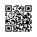 11252-00E00-000 Pad, rubber