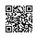 11275-37E10 Arm